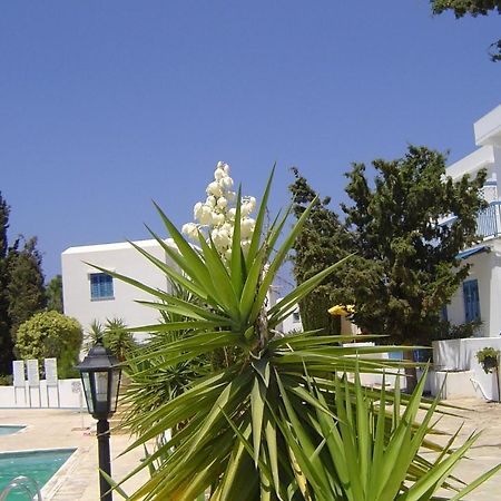 Ikaria Village Maisonette 12 Paphos Exteriör bild