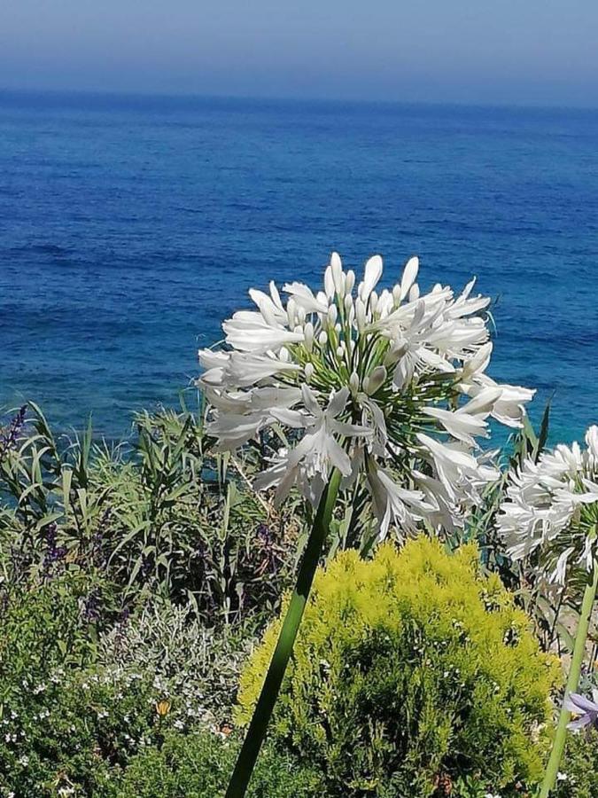 Ikaria Village Maisonette 12 Paphos Exteriör bild