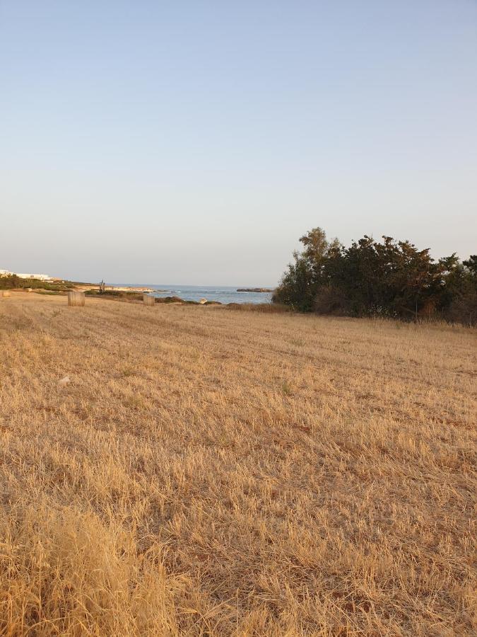 Ikaria Village Maisonette 12 Paphos Exteriör bild