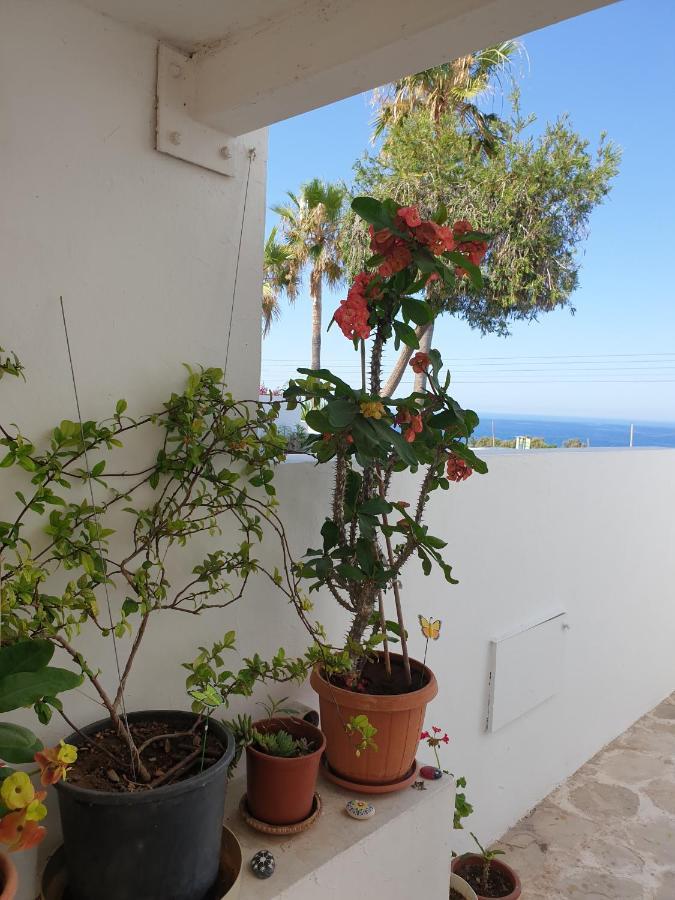 Ikaria Village Maisonette 12 Paphos Exteriör bild